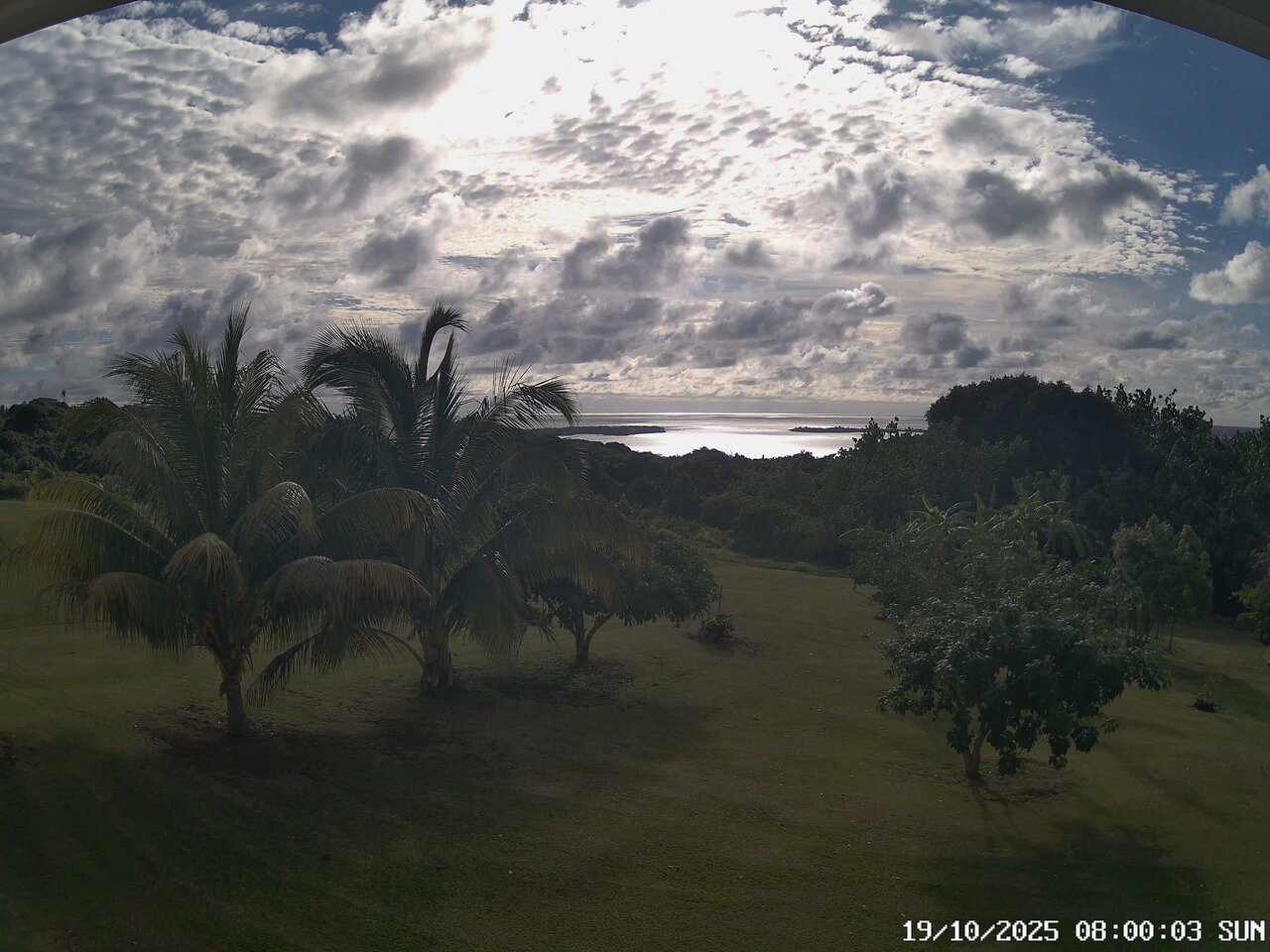 08:00 AM @ Piraki 1